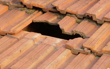 roof repair Strathy, Highland